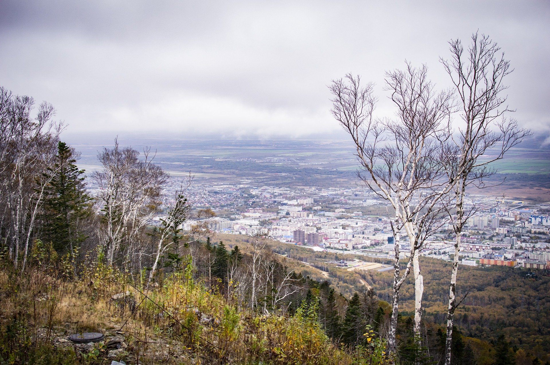 Onlineseminar am 29.04.20: „Wie man die Pandemie überlebt: Verluste minimieren und Risiken verringern. Personal, Steuern, KMU-Status, Krisenmanagement“ (auf Russisch)